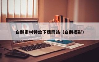 肇州白鹅素材特效下载网站（白鹅摄影）
